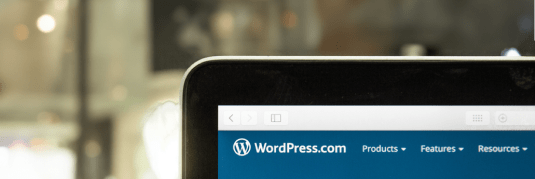Headless WordPress 535px - 179px